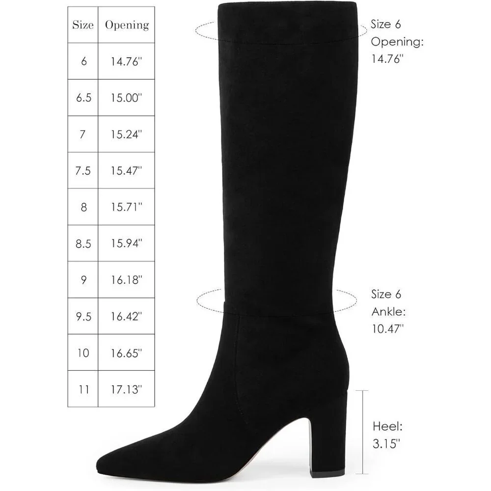 Women Black Chunky Heel Pointed Toe Side Zipper Fall Dressy Comfortable Boots